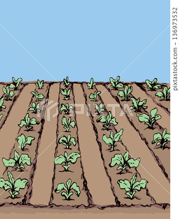 Garden beds. Vector drawing Garden beds. Vector drawing 136973532