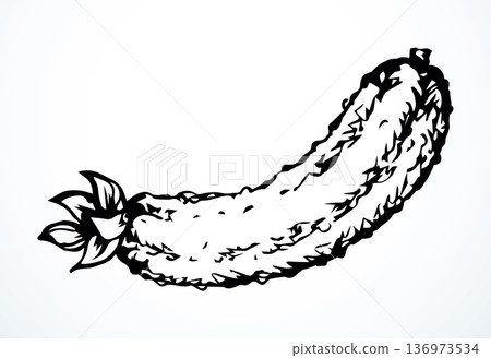 Small green cucumber. Vector drawing Small green cucumber. Vector drawing 136973534
