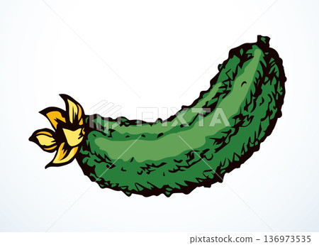Small green cucumber. Vector drawing 136973535