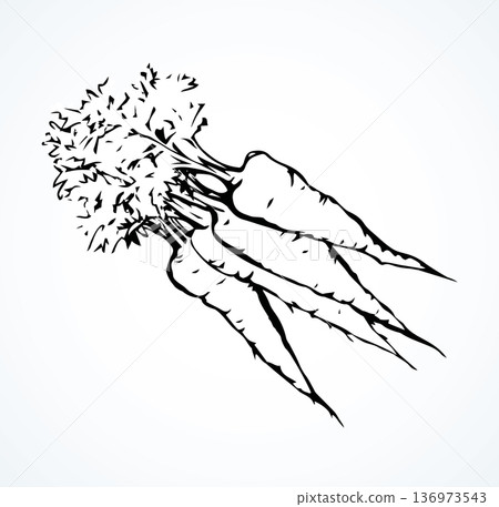 Carrot. Vector drawing Carrot. Vector drawing 136973543