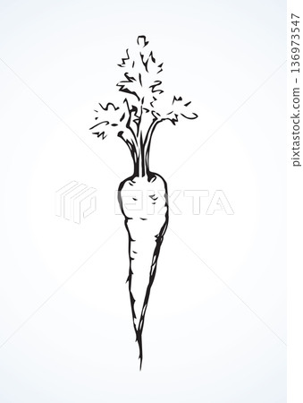 Carrot. Vector drawing Carrot. Vector drawing 136973547