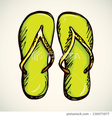 Slippers. Vector drawing 136973977