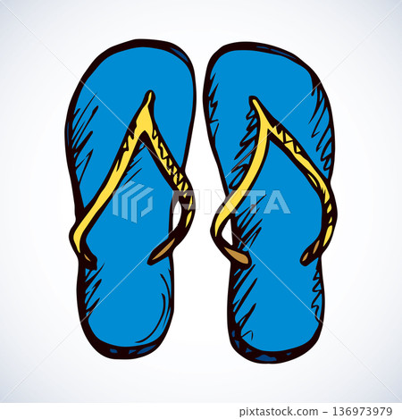 Slippers. Vector drawing Slippers. Vector drawing 136973979