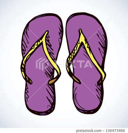 Slippers. Vector drawing 136973980