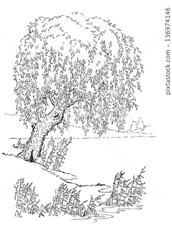 Vector drawing. Tree at the lake 136974146