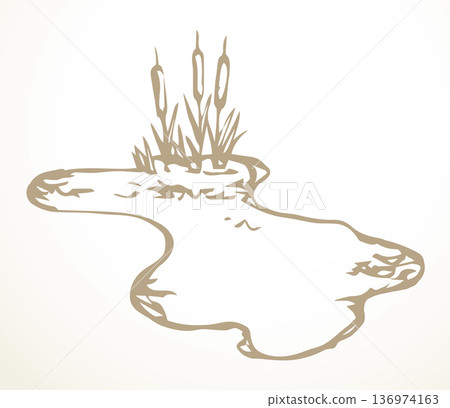 A pond with reeds. Vector drawing 136974163
