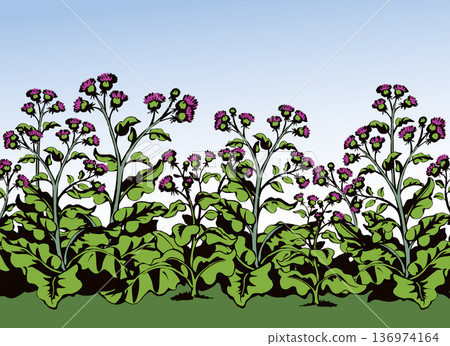 Big blooming burdock. Vector drawing Big blooming burdock. Vector drawing 136974164