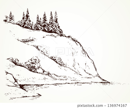 Firs on hill above river. Vector drawing 136974167
