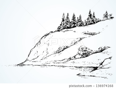 Firs on hill above river. Vector drawing 136974168