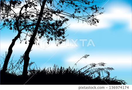Silhouette of trees by the lake. Vector drawing Silhouette of trees by the lake. Vector drawing 136974174