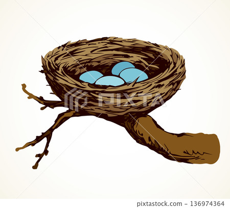 Nest. Vector drawing 136974364