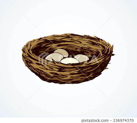 Nest. Vector drawing Nest. Vector drawing 136974370