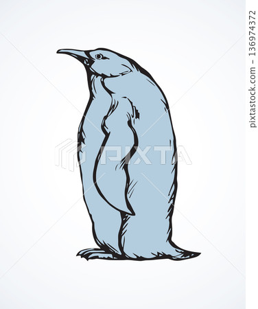 Penguin. Vector drawing Penguin. Vector drawing 136974372