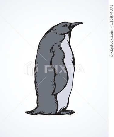 Penguin. Vector drawing Penguin. Vector drawing 136974373