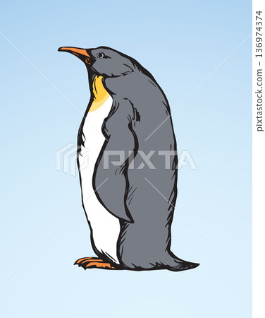 Penguin. Vector drawing Penguin. Vector drawing 136974374