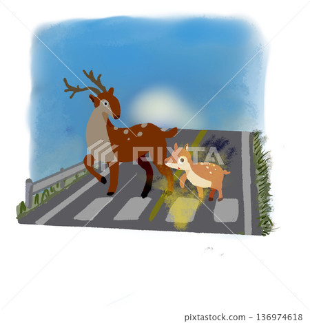 A parent and child deer crossing the road early in the morning Traffic safety illustration Blue sky background 136974618