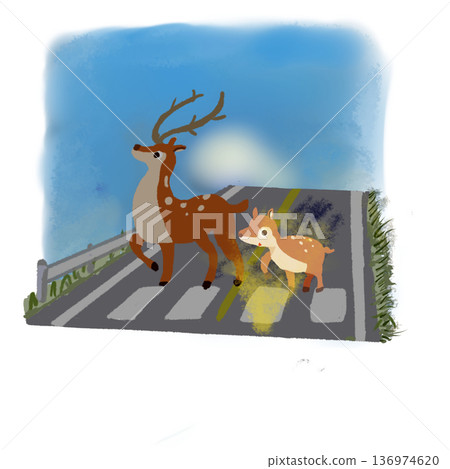 A parent and child deer looking up on an early morning road Traffic safety illustration Blue sky background A parent and child deer looking up on an early morning road Traffic safety illustration Blue sky background 136974620