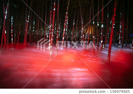 Illumination of Kairakuen Garden in Mito City, Ibaraki Prefecture Illumination of Kairakuen Garden in Mito City, Ibaraki Prefecture 136974885