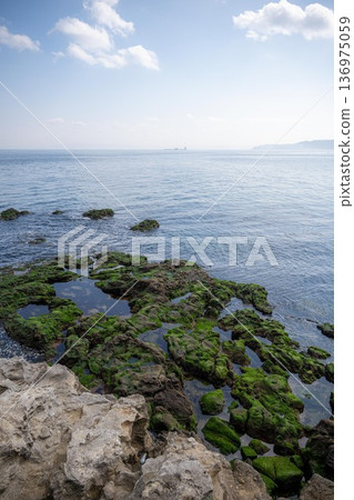 Yokosuka City, Kanagawa Prefecture Sarushima scenery Yokosuka City, Kanagawa Prefecture Sarushima scenery 136975059