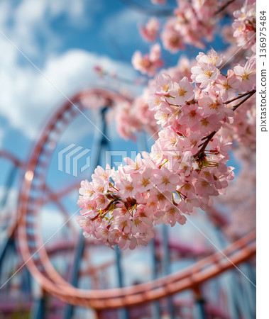 一幅垂直的春日景觀，櫻花盛開，還有一座摩天輪。 136975484