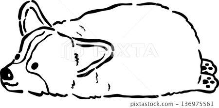 Cute Corgi Bread Loaf Dog Doodle Outline Lying Cartoon Hand Drawn Cute Corgi Bread Loaf Dog Doodle Outline Lying Cartoon Hand Drawn 136975561