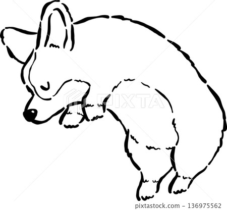Sleeping Corgi Bread Loaf Dog Outline Doodle Curled Up in Croissant Shape Cartoon Hand Drawn 136975562