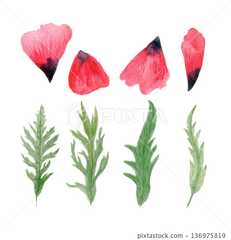Poppy leaves, petals set isolated on white, hand-painted watercolor botanical elements, natural texture and soft shading, ideal for floral compositions, wedding stationery, packaging, prints, branding Poppy leaves, petals set isolated on white, hand-painted watercolor botanical elements, natural texture and soft shading, ideal for floral compositions, wedding stationery, packaging, prints, branding 136975819
