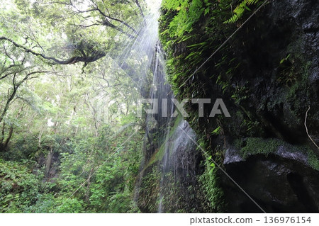 Mitsuru瀑布 136976154