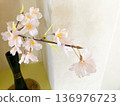 花瓶裡的櫻花 136976723