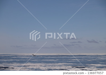 漂流冰海 漂流冰海 136977057