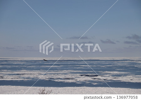 漂流冰海 漂流冰海 136977058