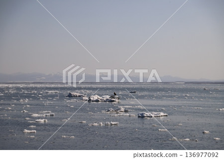 Sea of drift ice Sea of drift ice 136977092