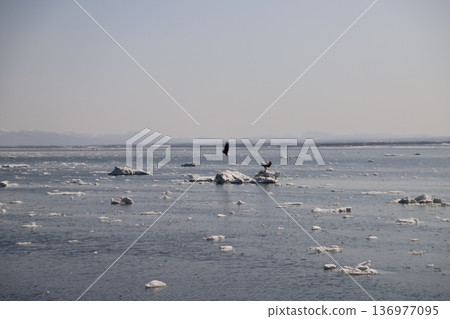 漂流冰海 漂流冰海 136977095