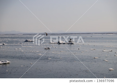 漂流冰海 漂流冰海 136977096