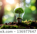 燈泡內生長的小森林，體現了生態系統和清潔能源的概念 136977647