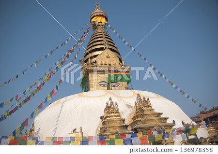 野生猴子攀爬斯瓦揚布納特（猴子廟）的金色佛塔 136978358
