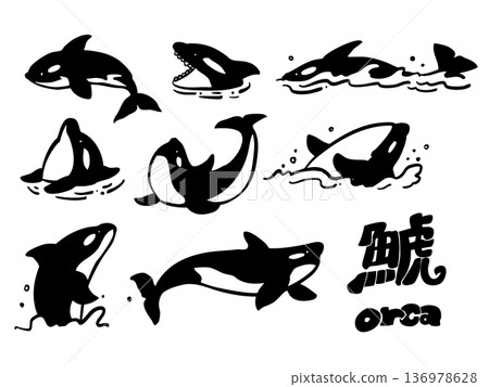 Killer whale line drawing simple illustration set 136978628