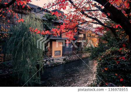 Serene Shirakawa Canal Flowing Through Historic Gion District Nov 26 2025 136978955