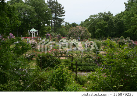 冰見愛山花園(富山縣冰見市) 冰見愛山花園(富山縣冰見市) 136979223