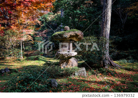 Nov 23 2025 Autumn Maple Garden at Sanzen in Temple Kyoto 136979332