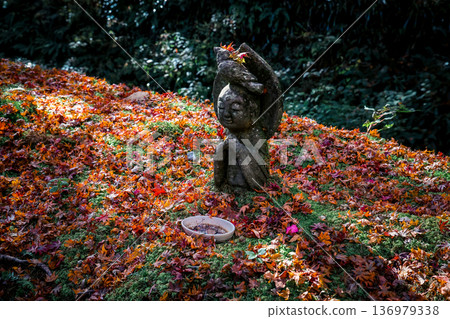 Nov 23 2025 Stone Statue Amid Autumn Maple at Sanzen in Temple Nov 23 2025 Stone Statue Amid Autumn Maple at Sanzen in Temple 136979338
