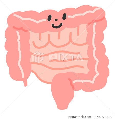 Illustration of an intestine with a smiling face Illustration of an intestine with a smiling face 136979480