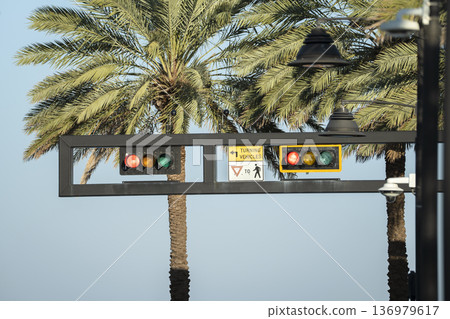 American street traffic light in Miami, Florida. USA transportation 136979617