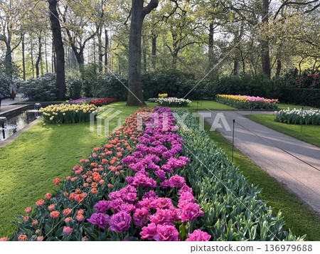 Keukenhof Gardens, Netherlands Keukenhof Gardens, Netherlands 136979688