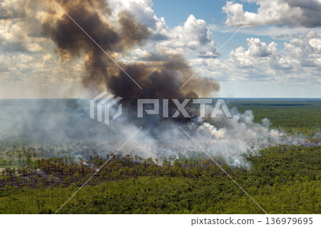 Safe prescribed fire in rural Florida landscape, reducing wildfire risk through controlled vegetation burning Safe prescribed fire in rural Florida landscape, reducing wildfire risk through controlled vegetation burning 136979695