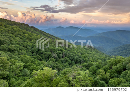 Great Smokey Mountains at sunrise in summer season. Mountain wooded hills in North Carolina Appalachians, USA 136979702