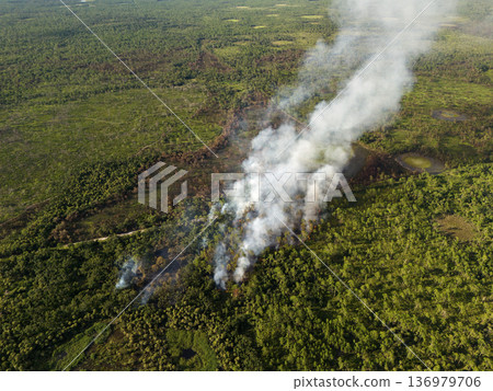 Intense wildfire spreads across Florida woodland, leaving scorched earth and towering plumes of smoke drifting above treetops 136979706