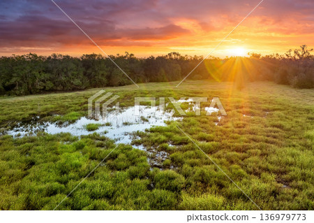 Tropical wetlands with fresh water lake between green wild vegetation in southern Florida 136979773