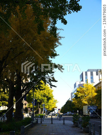 從日本大通眺望城市景色 136979803