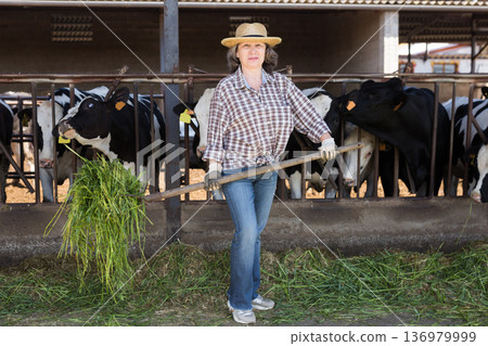 Portrait of female farmer working in cowshe Portrait of female farmer working in cowshe 136979999